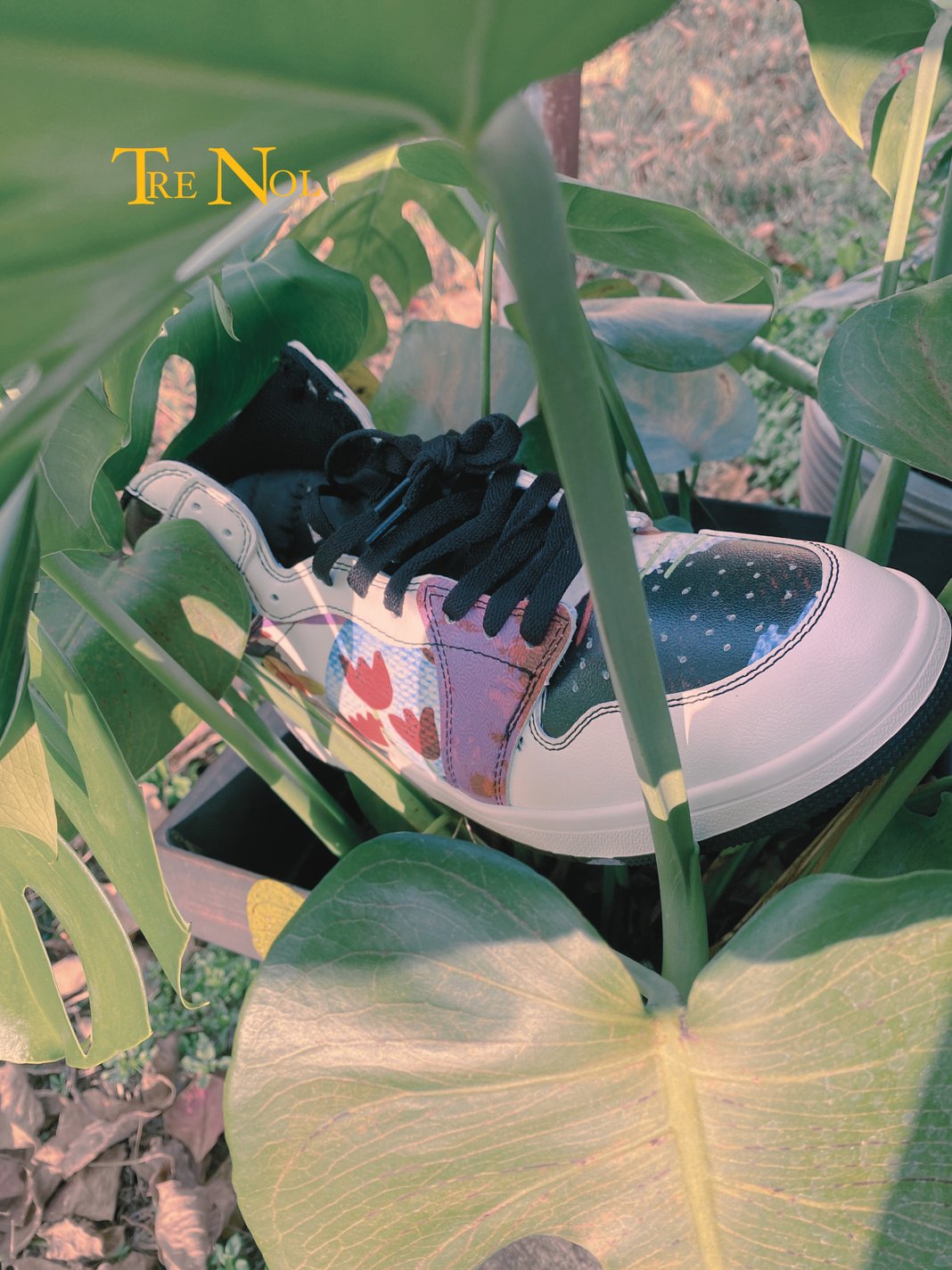 Slideshow image 3