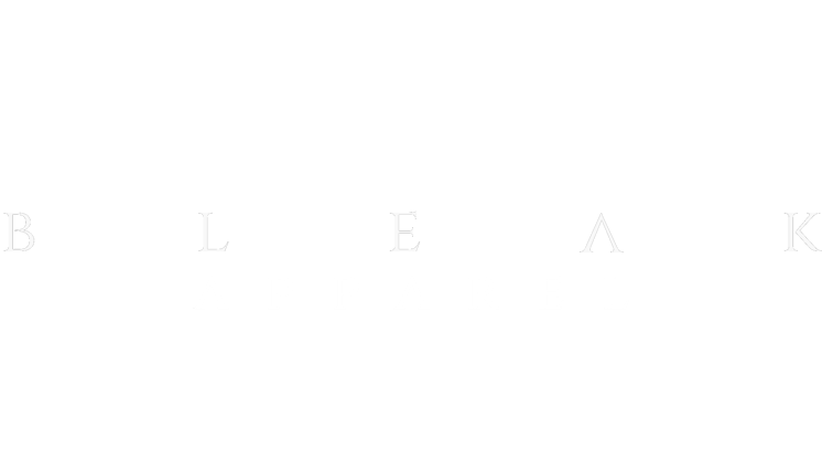 bleak.cvlt apparel  Home