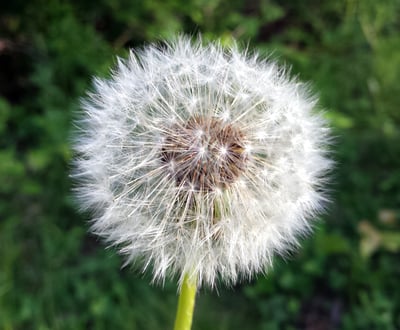 Slideshow image 1
