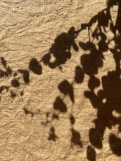 Slideshow image 4