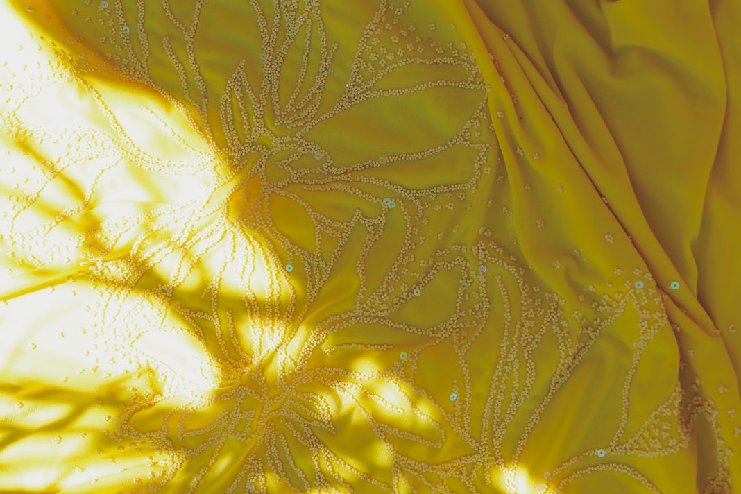 Slideshow image 4