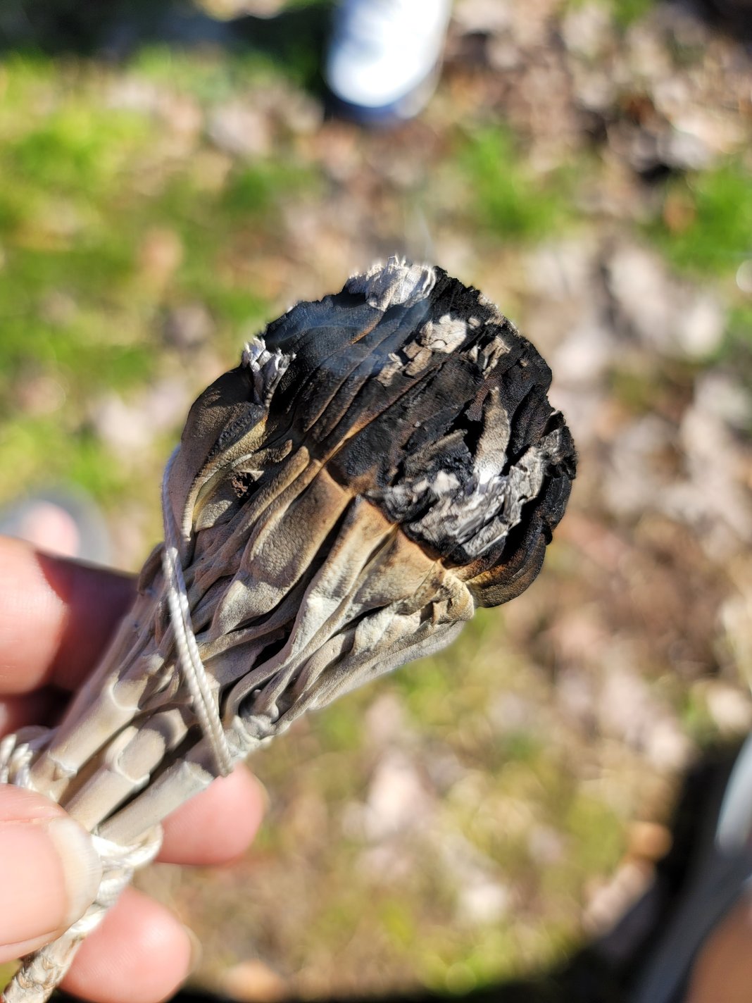 Slideshow image 3