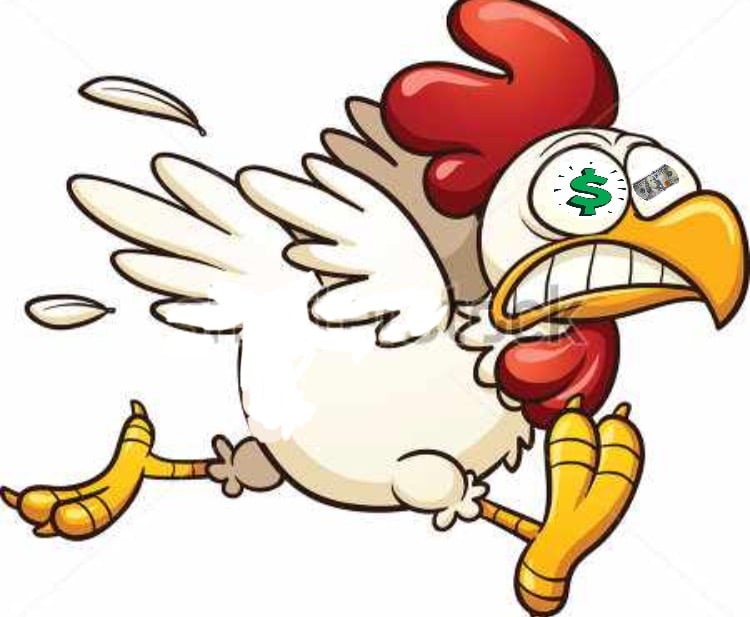  Chasing Chickens