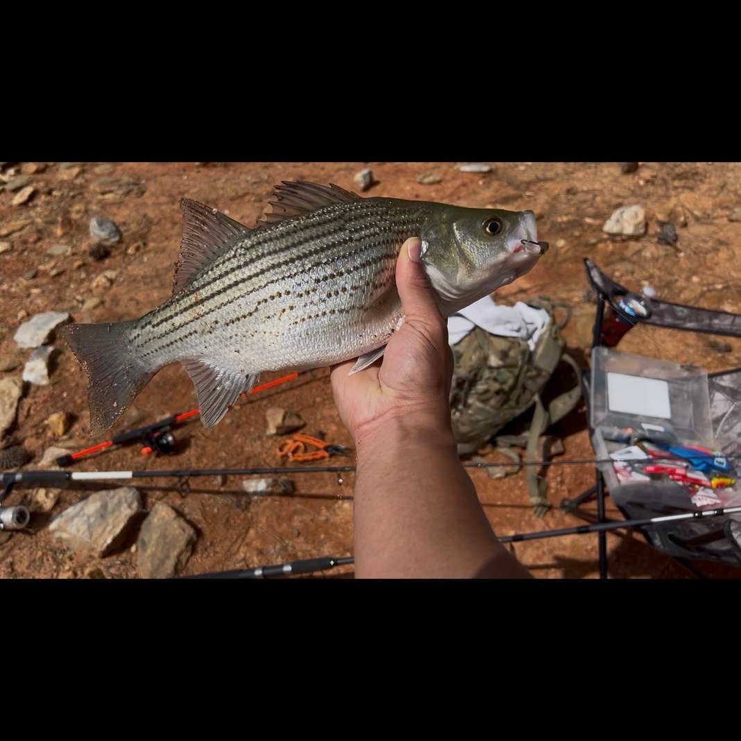Slideshow image 9