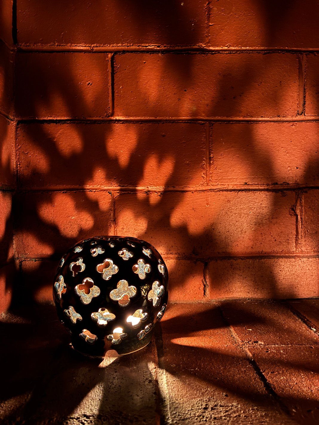 Slideshow image 5
