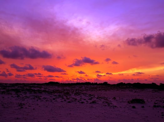 Slideshow image 1