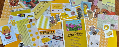 Slideshow image 5