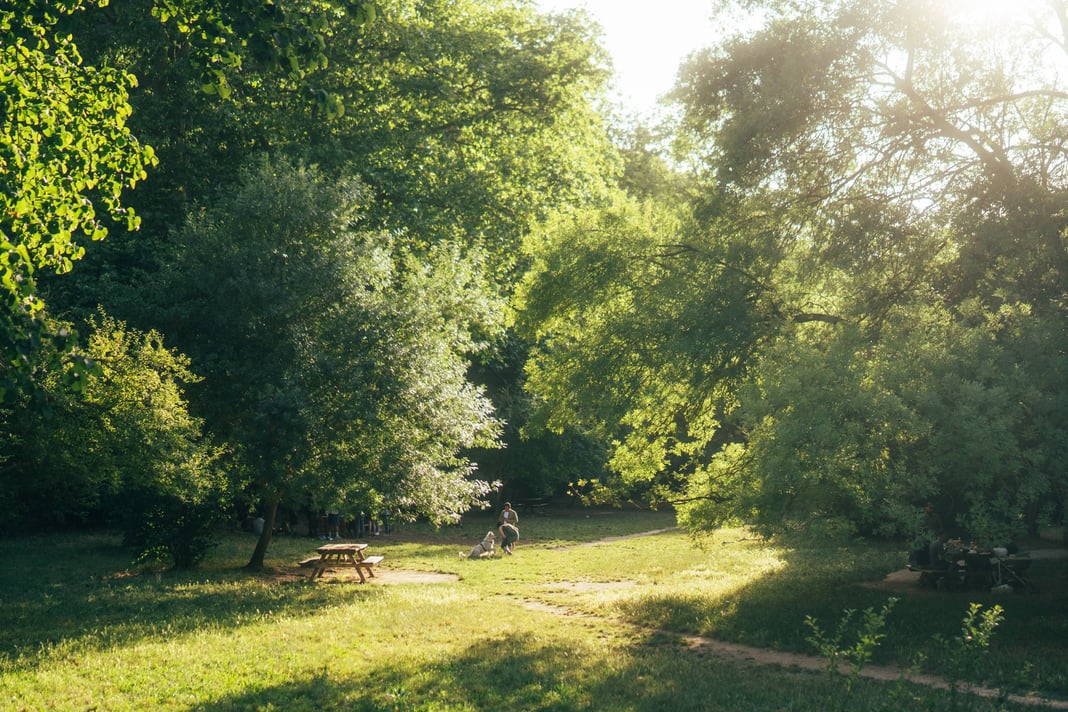 Slideshow image 3