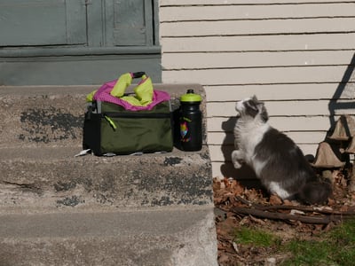 Slideshow image 6