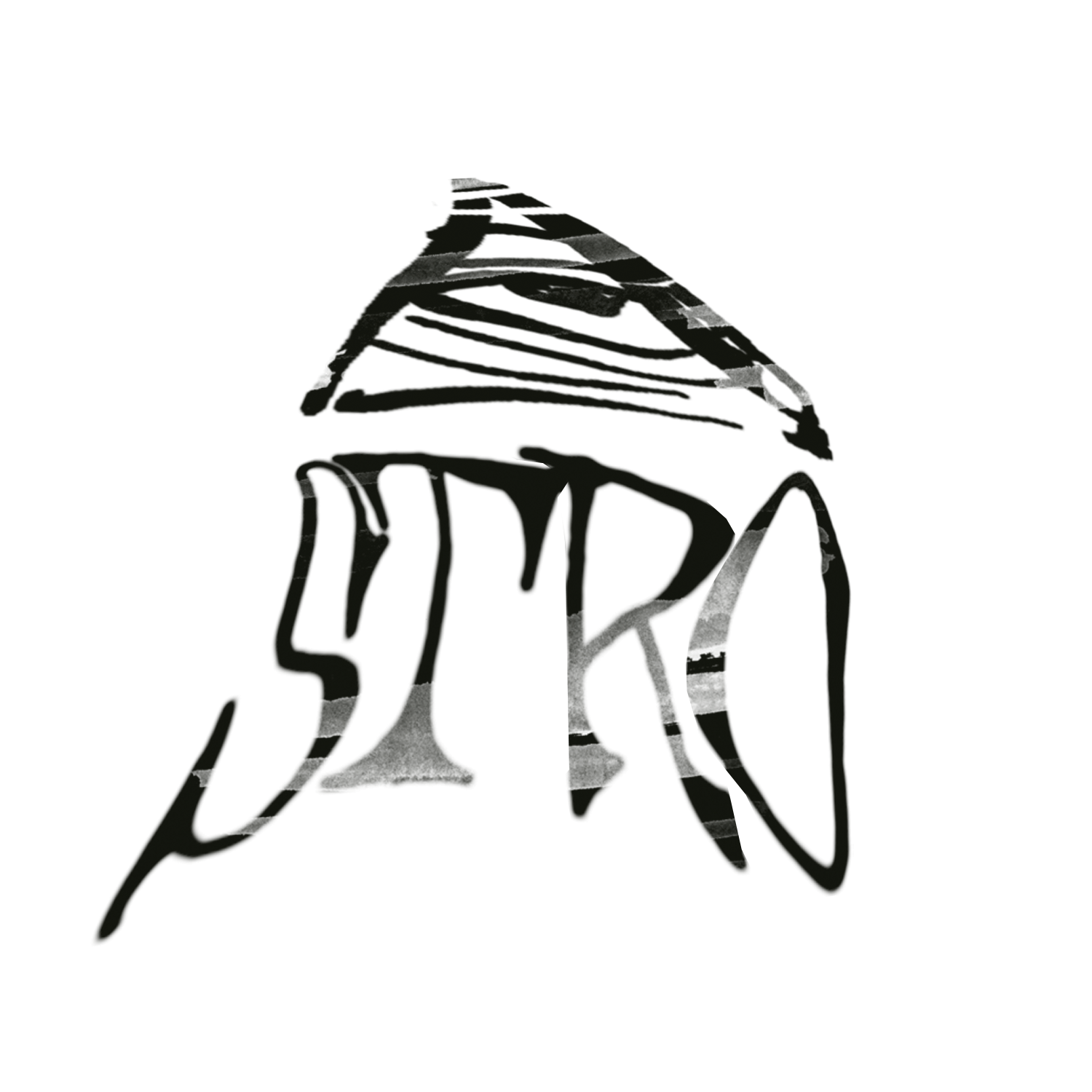 Stro Bike Co. Online Shop