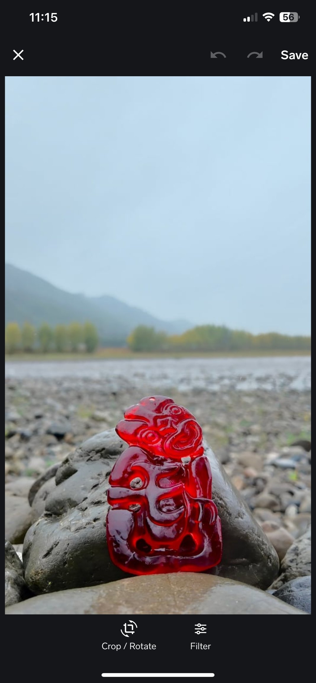 Slideshow image 2