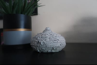 Slideshow image 4