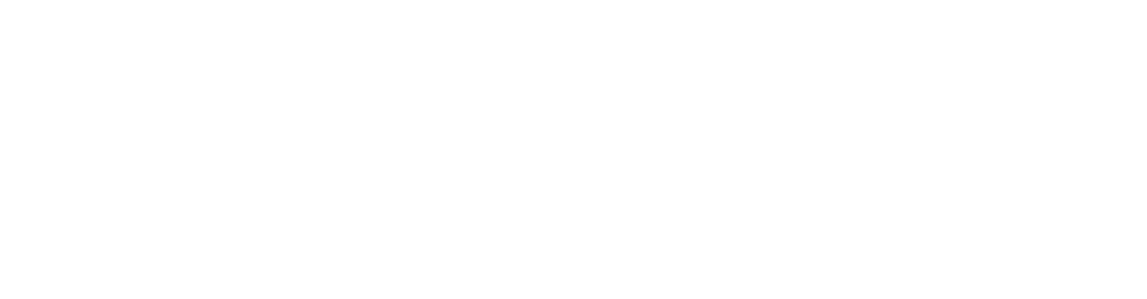 Leave No Trvce Home