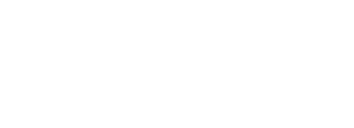 Klemenza Digital Arts Home