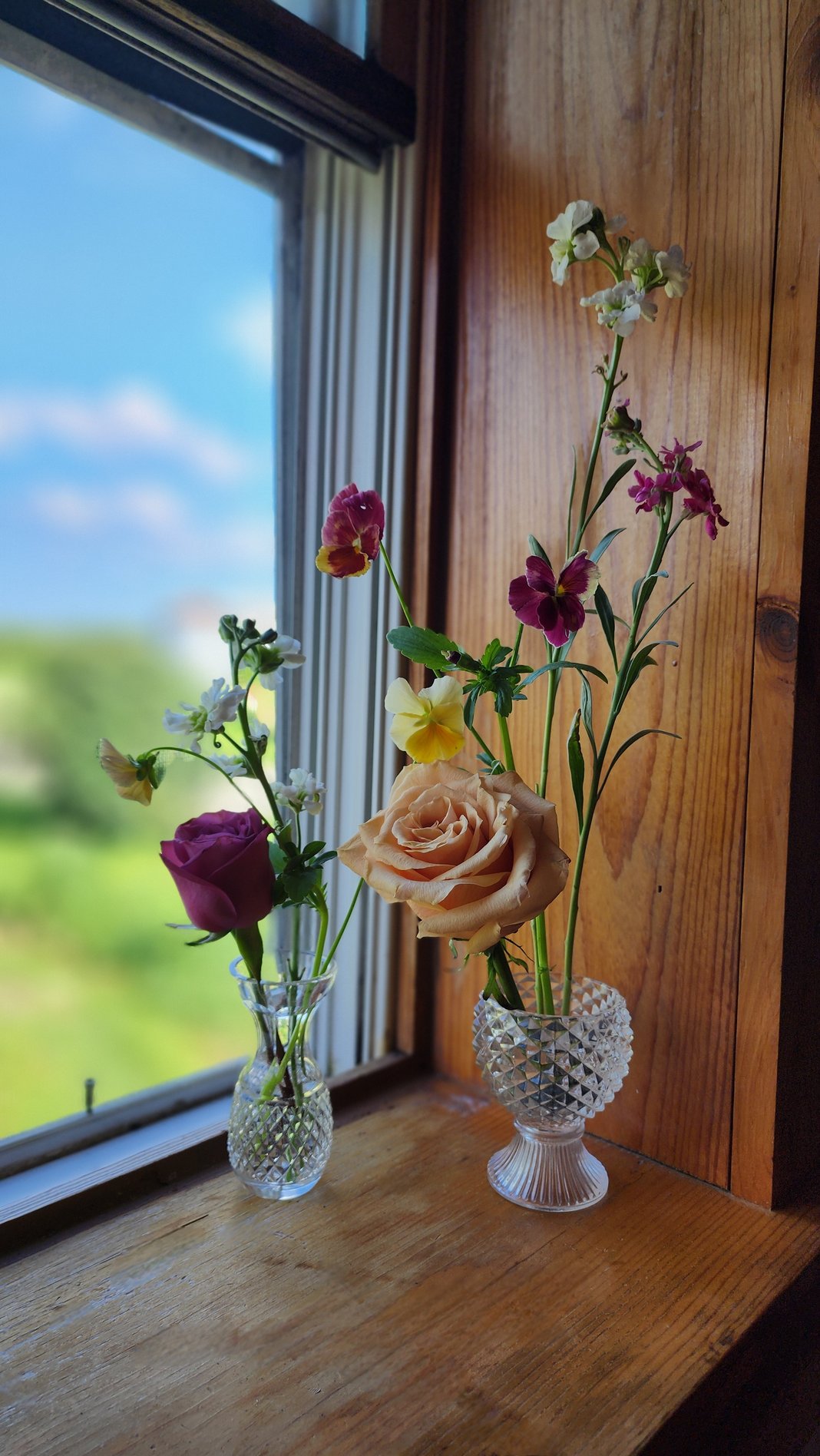 Slideshow image 15