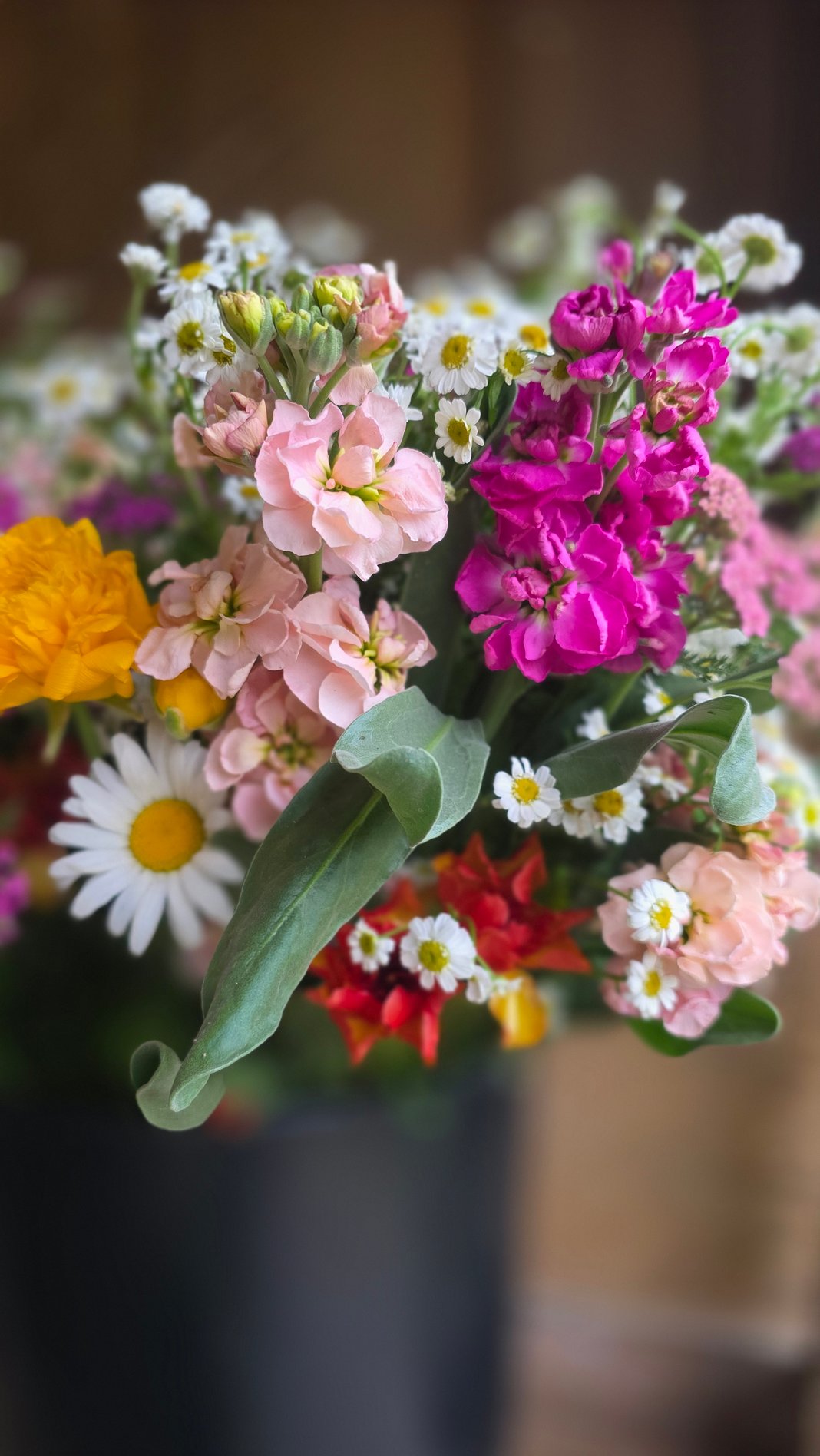 Slideshow image 9