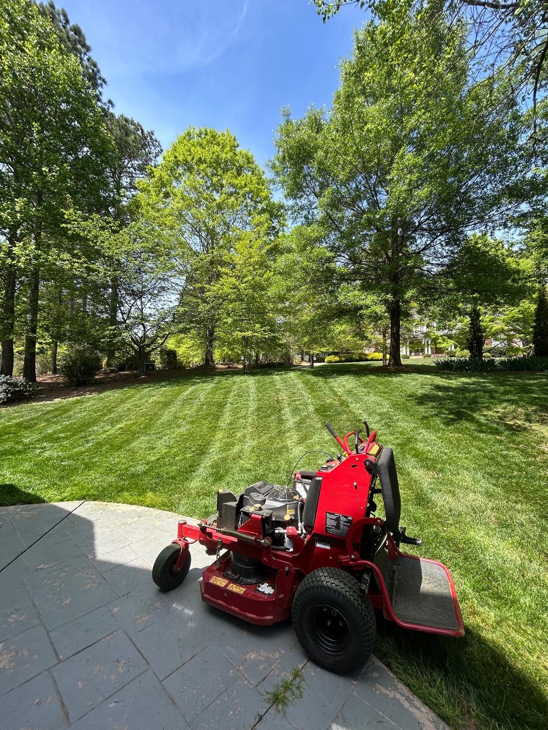 Slideshow image 13