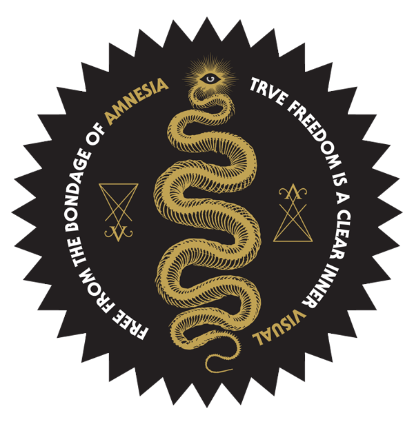 VISUɅL ɅMNΣSIɅ Home