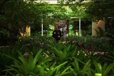Slideshow image 2