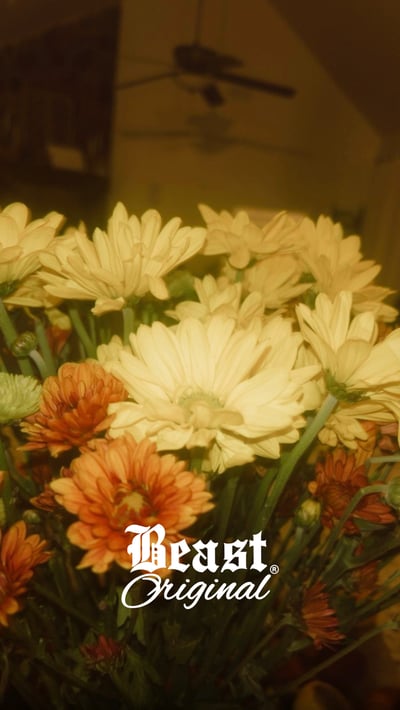 Slideshow image 1