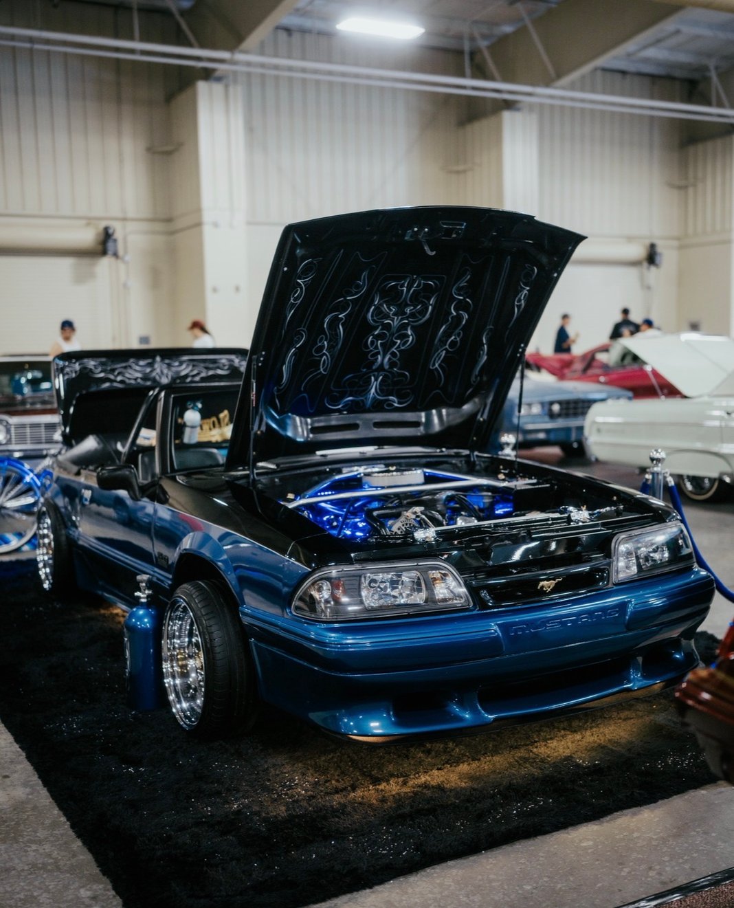 Slideshow image 4