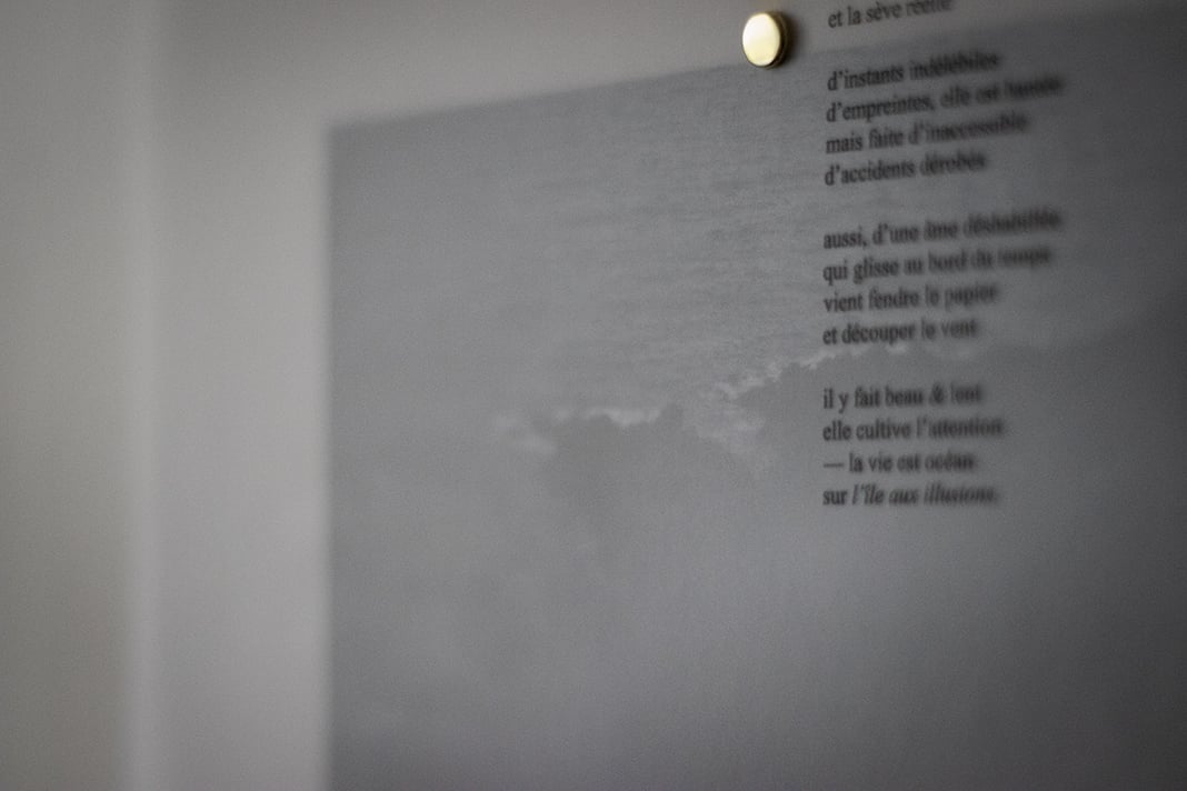 Slideshow image 5
