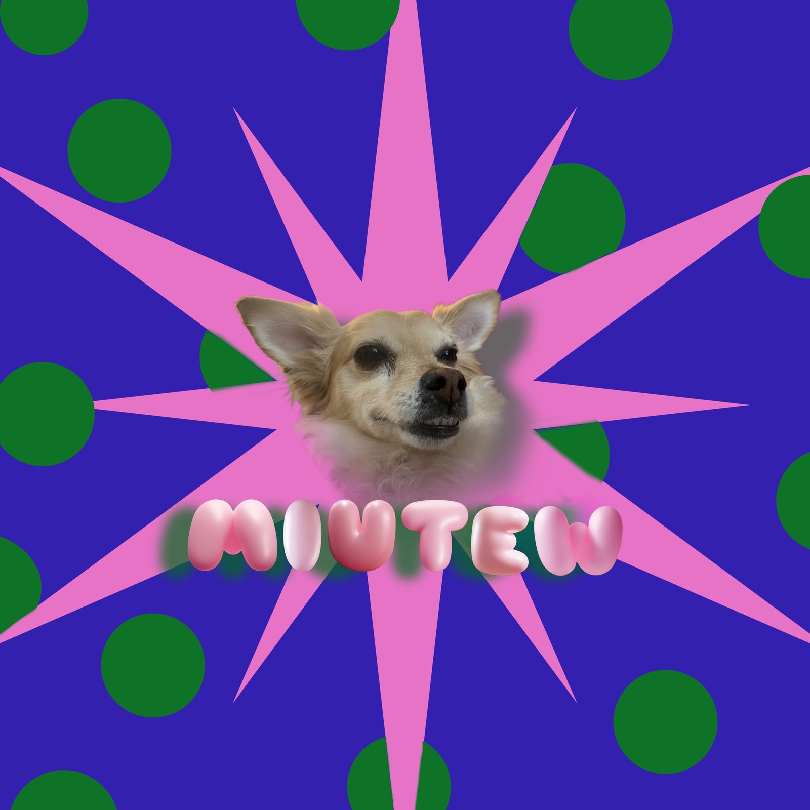 miutoo