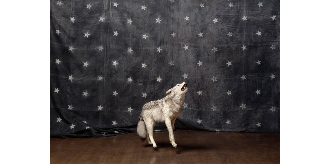 Slideshow image 3