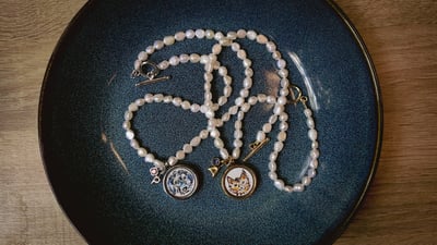 Slideshow image 7
