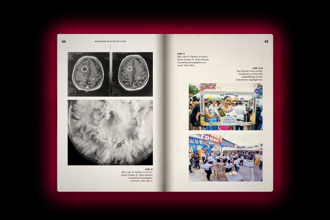 Slideshow image 3