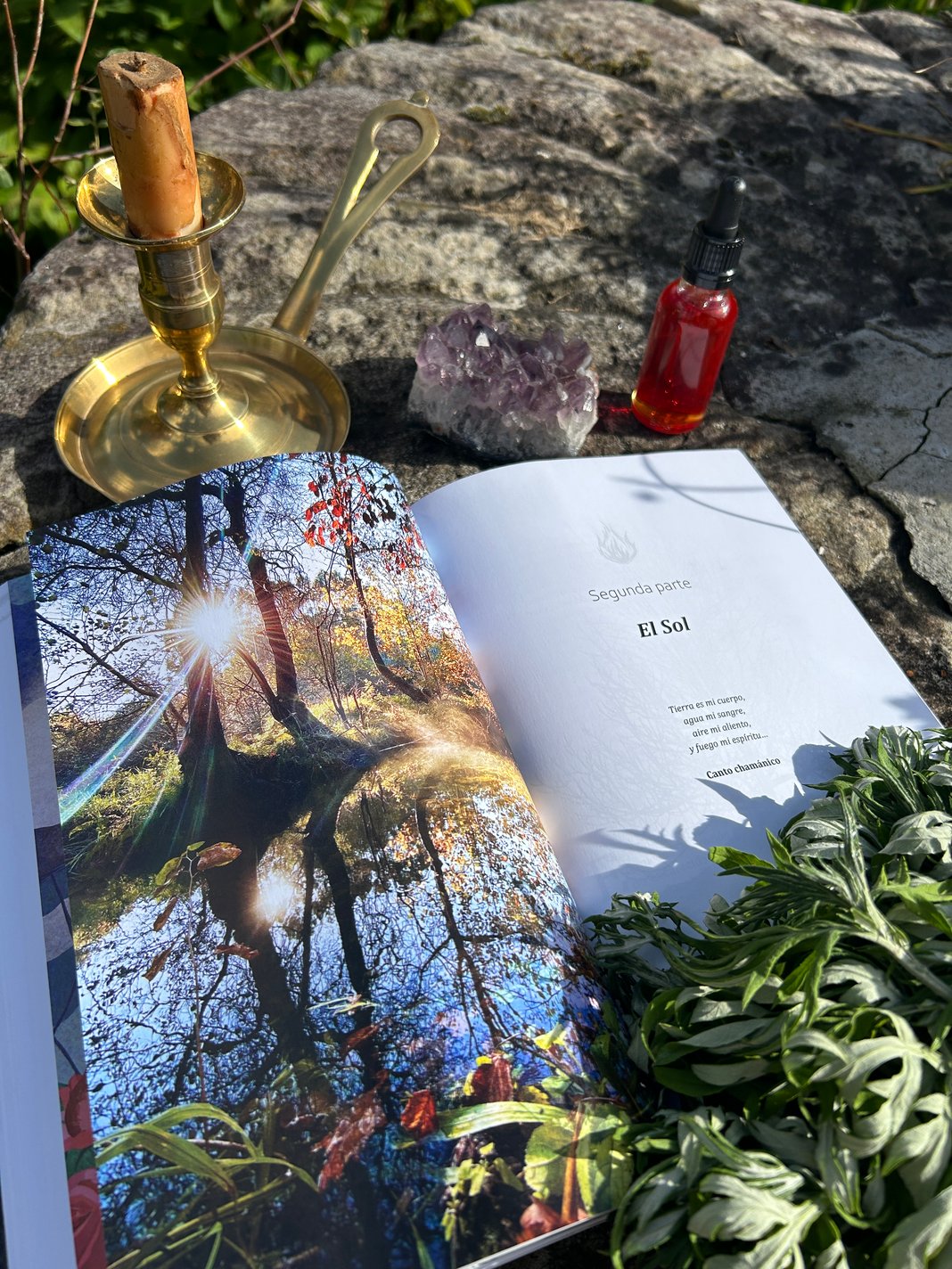 Slideshow image 6