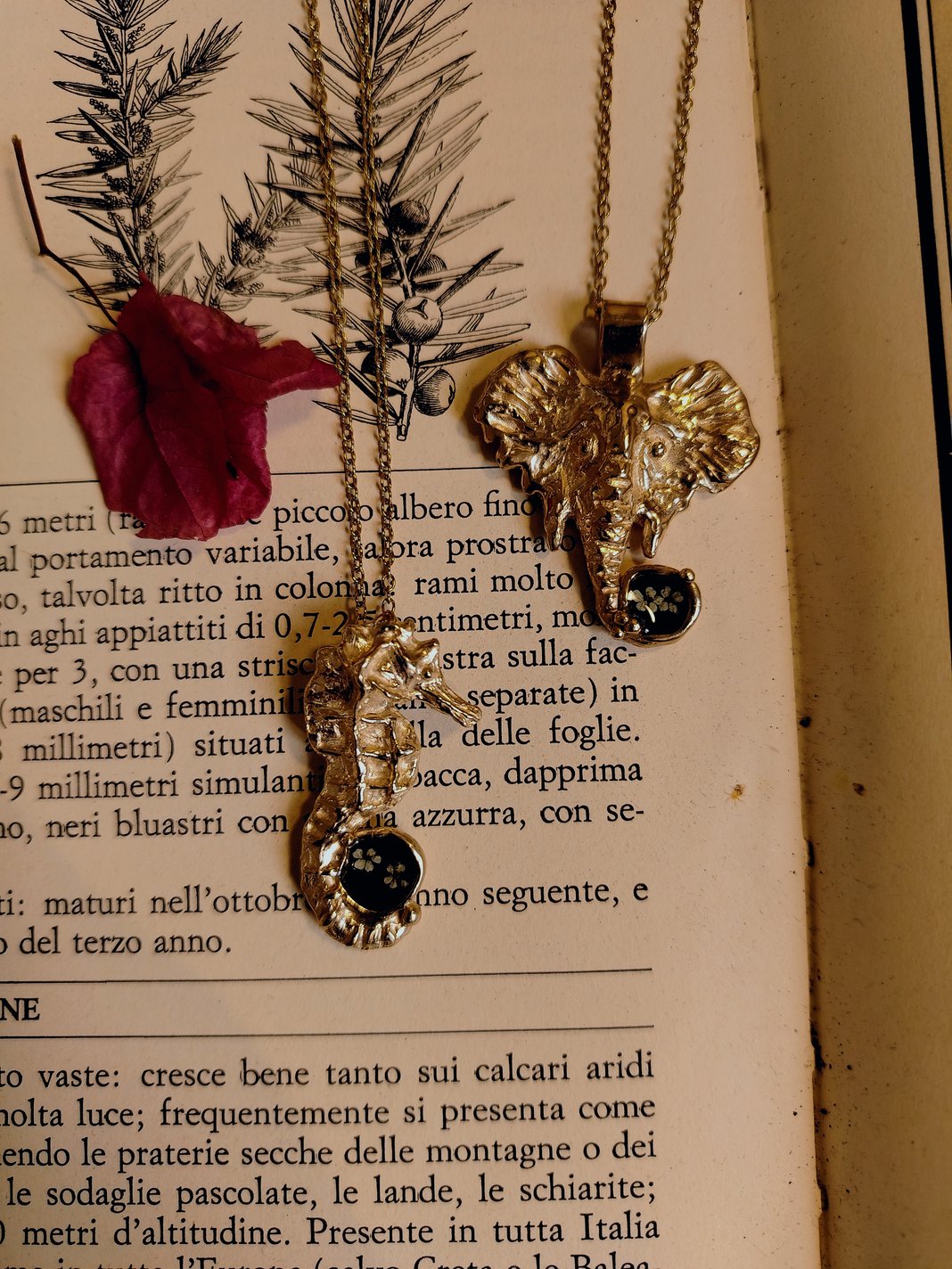 Slideshow image 3