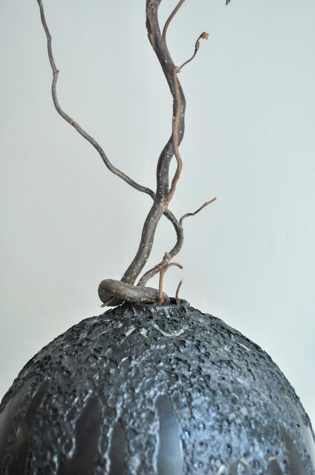 Slideshow image 1