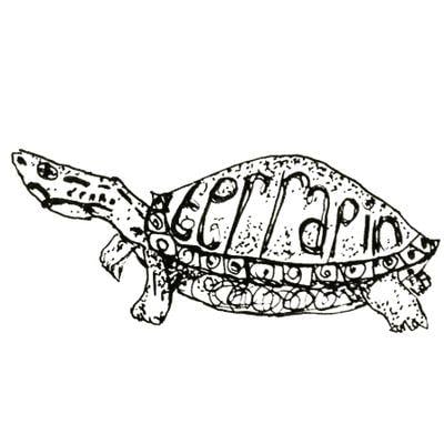 Terrapin