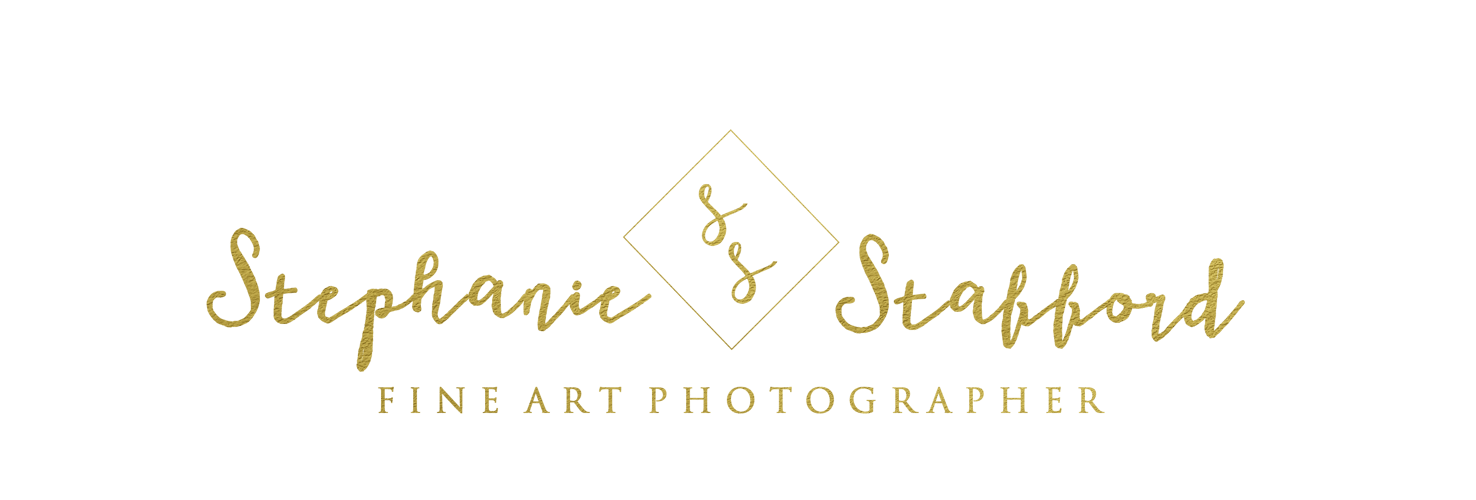 Stephanie Stafford, Photographer | Product Shop 