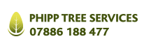 Phipp Tree Services
