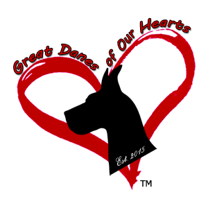 Great Danes of Our Hearts