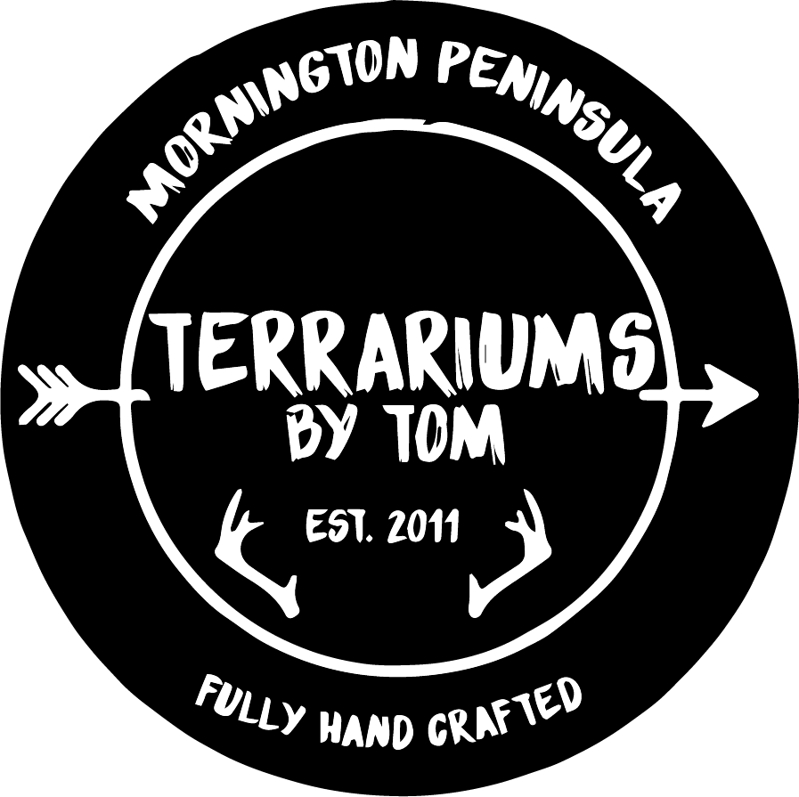 Terrariums By Tom