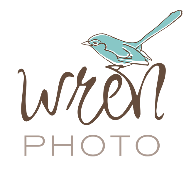 Wren Photo