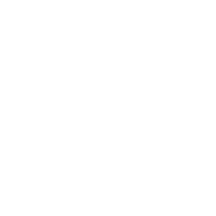 NINETY FIVE