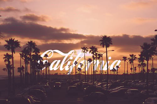 Cali.Carter`s
