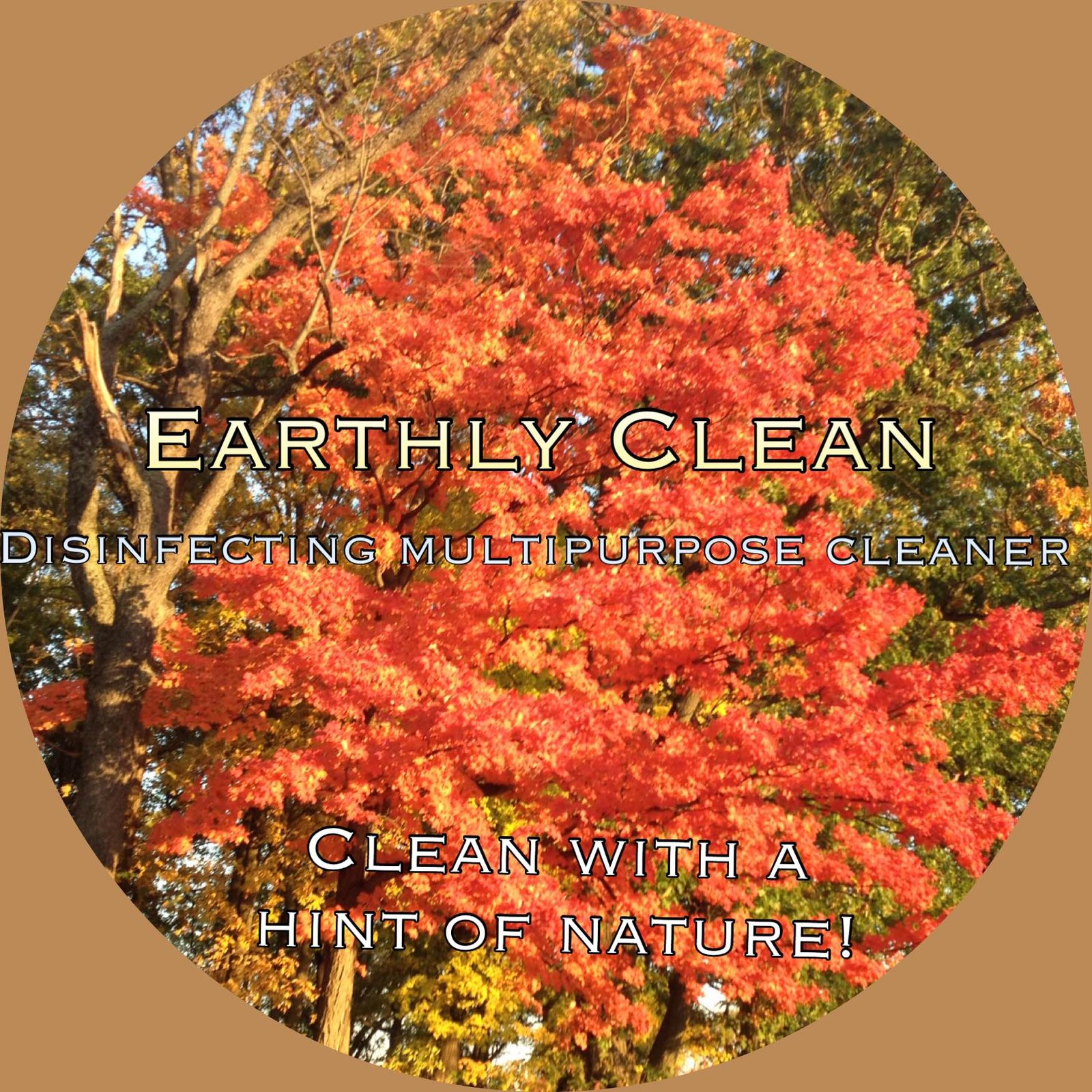 Earthly Clean Products