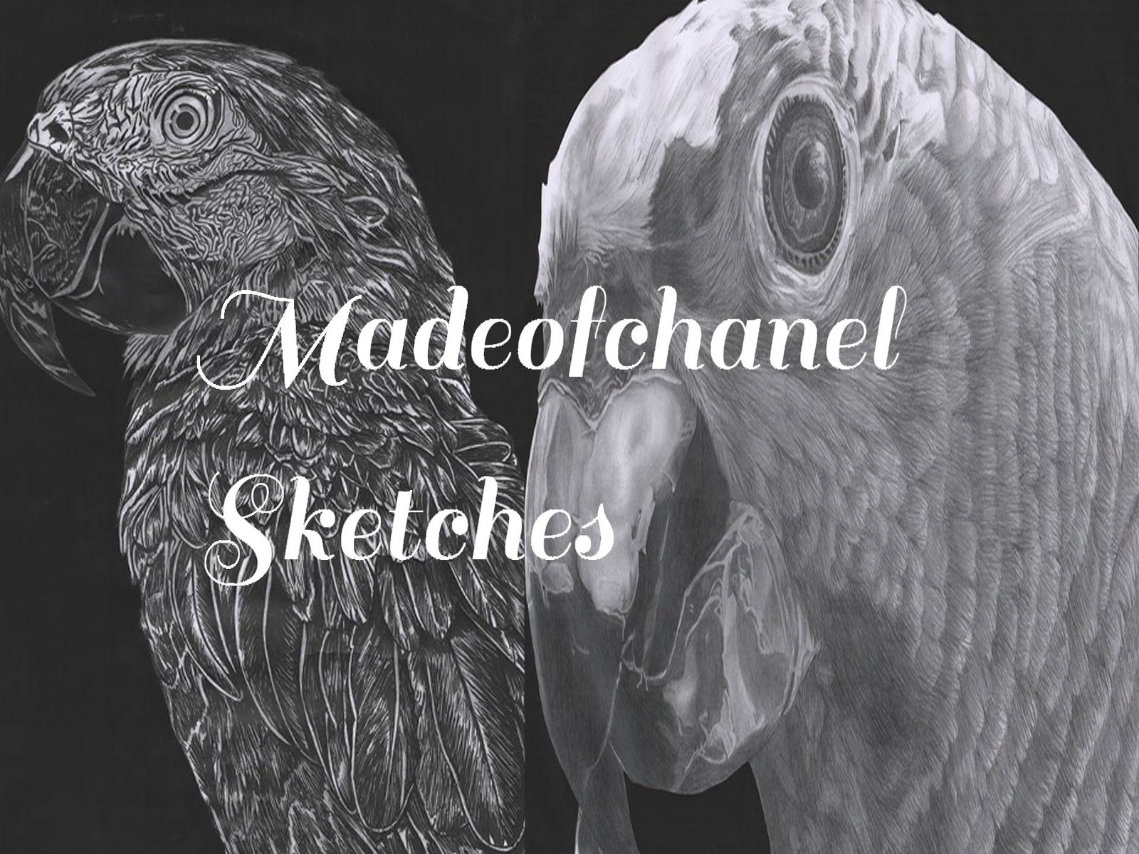 Madeofchanel Sketches