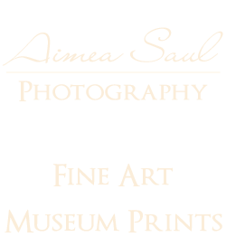 Aimea Saul Nature Photography