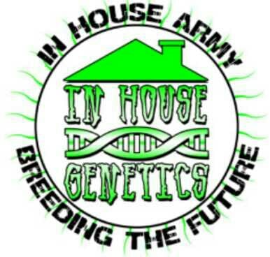 In House Genetics 