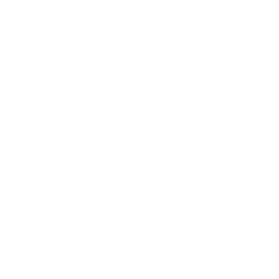 Stizz Lifestyle