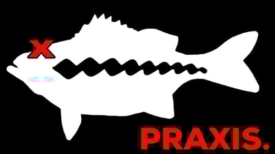 Praxisfishing