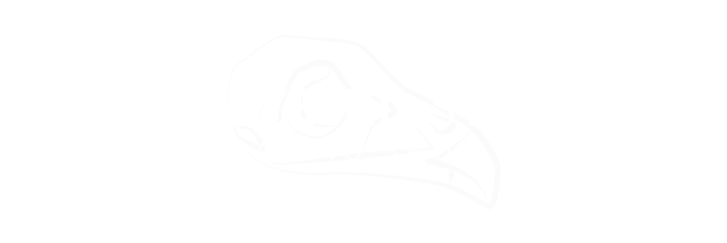 Werleybird Audio Shop