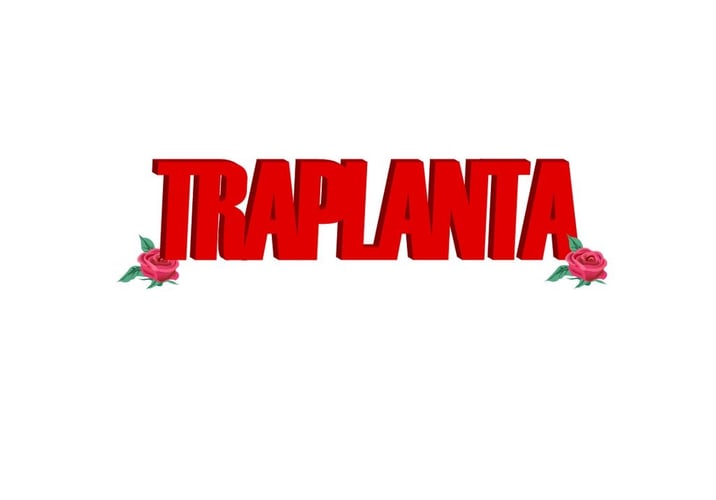 Traplanta Merch 