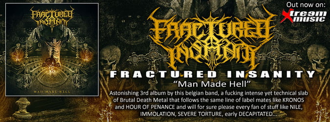 FRACTURED INSANITY